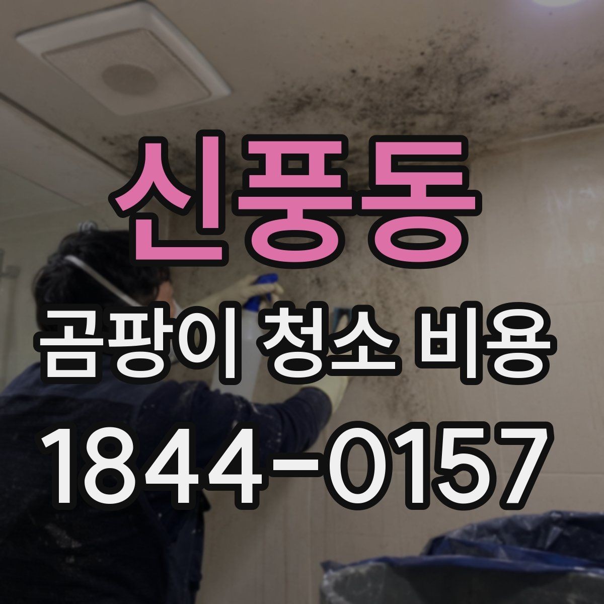 신풍동 곰팡이 청소 비용 비교할 때 놓치기 쉬운 부분
