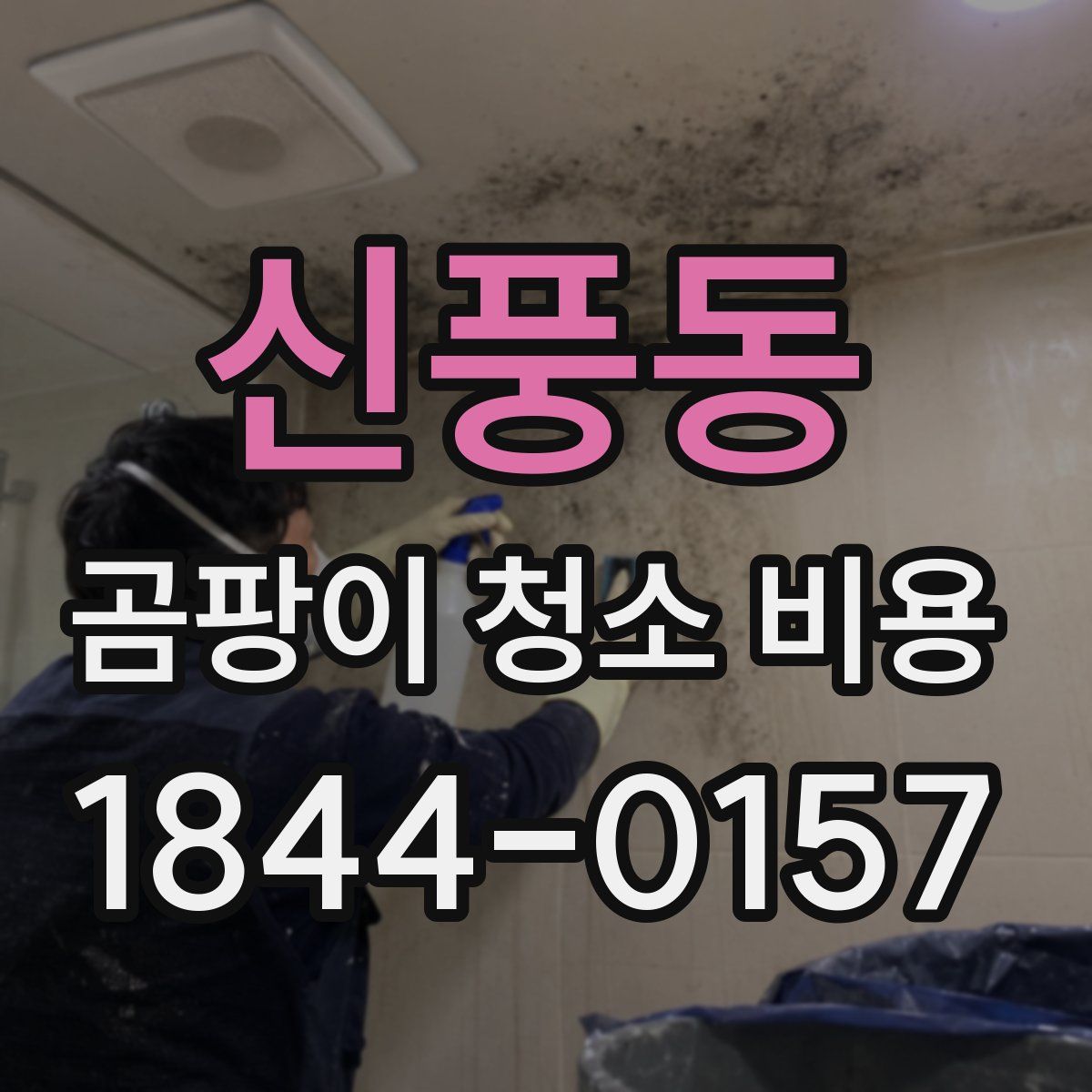신풍동 곰팡이 청소 비용
