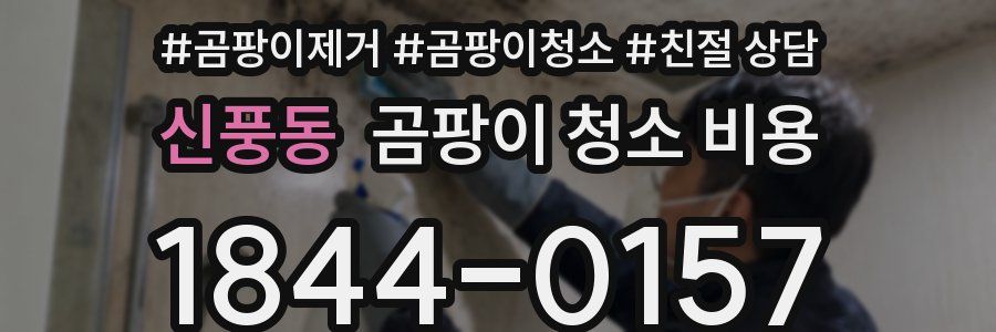 신풍동 곰팡이 청소 비용