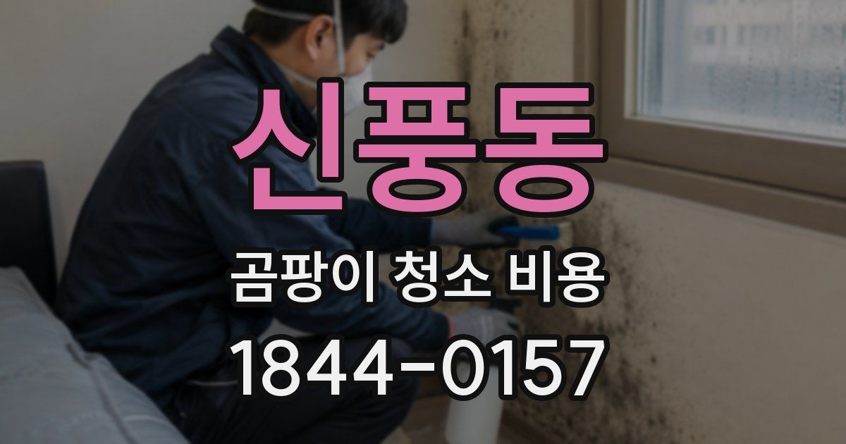 신풍동 곰팡이 청소 비용