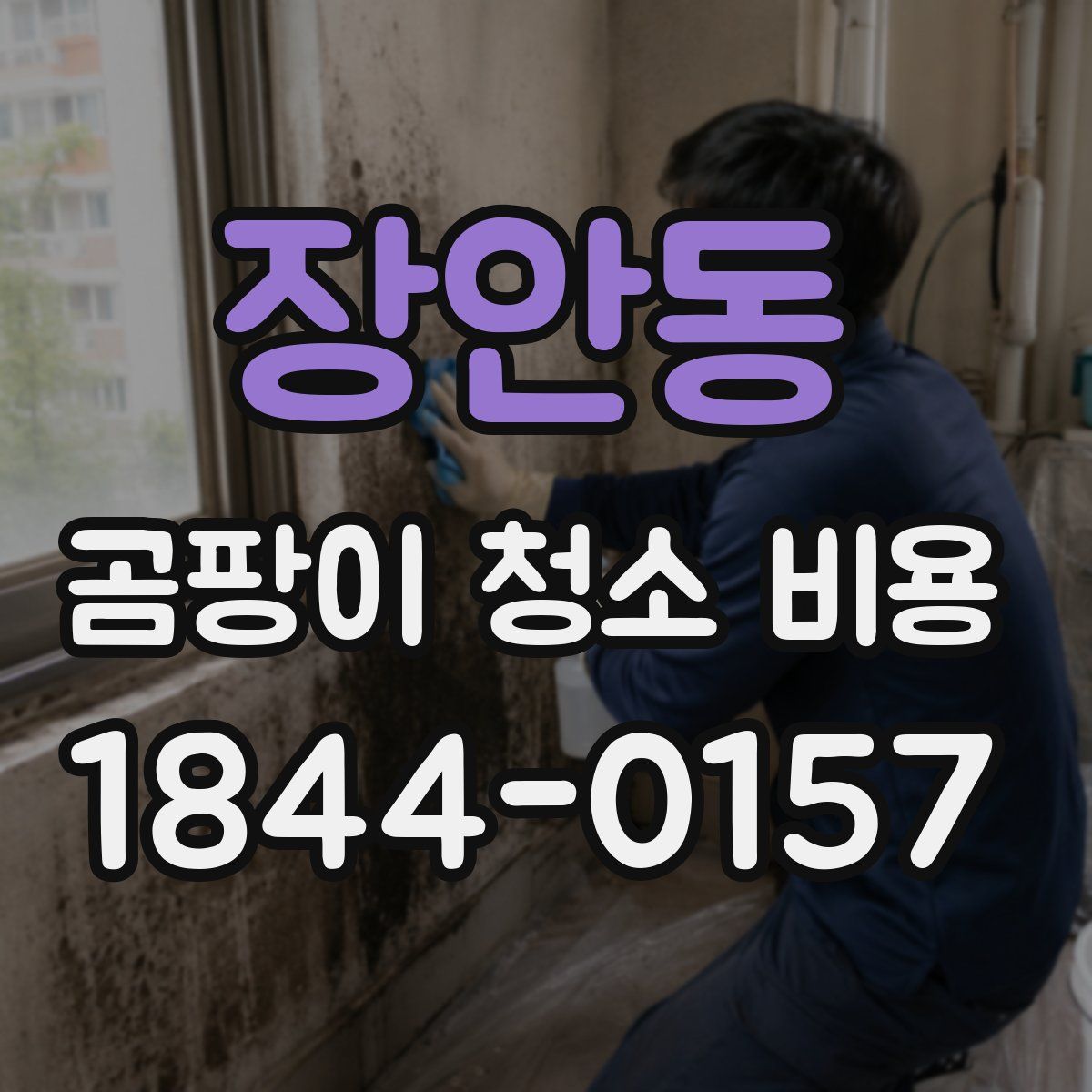 장안동 곰팡이 청소 비용