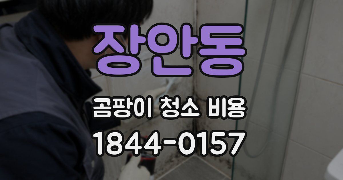 장안동 곰팡이 청소 비용