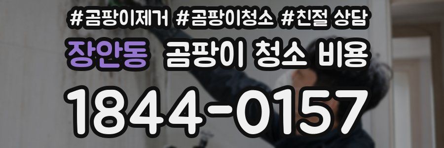 장안동 곰팡이 청소 비용