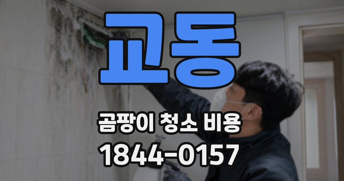 교동 곰팡이 청소 비용