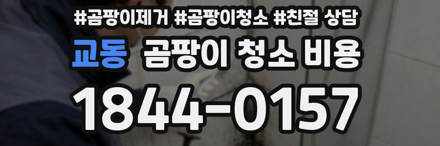 교동 곰팡이 청소 비용