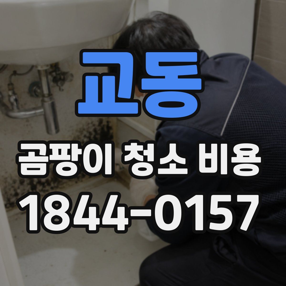 교동 곰팡이 청소 비용