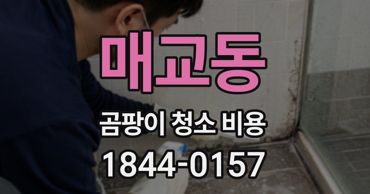 매교동 곰팡이 청소 비용