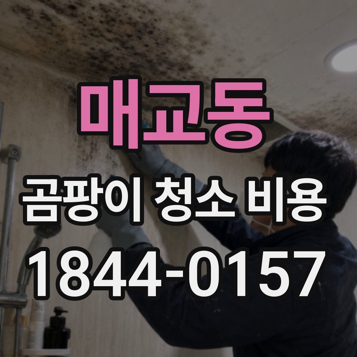 매교동 곰팡이 청소 비용