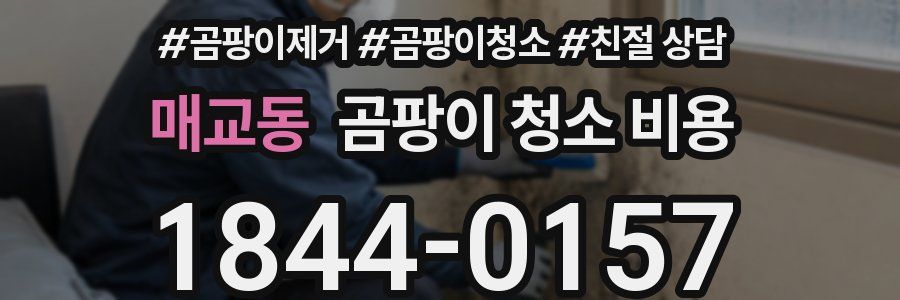 매교동 곰팡이 청소 비용