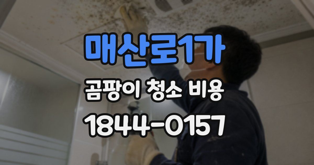 매산로1가 곰팡이 청소 비용
