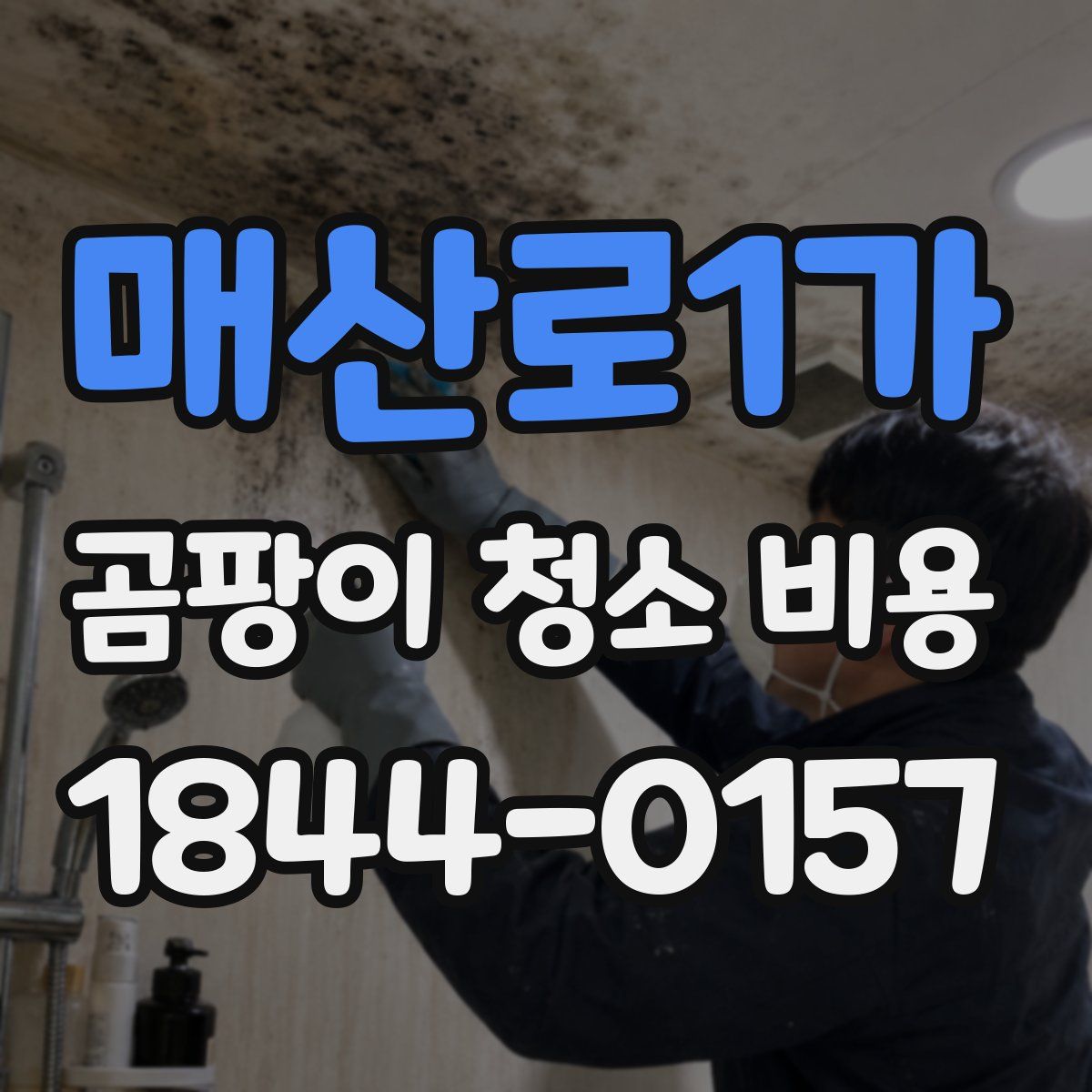 매산로1가 곰팡이 청소 비용