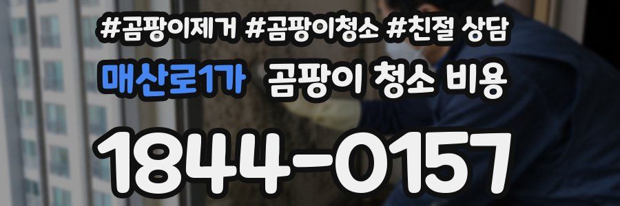 매산로1가 곰팡이 청소 비용
