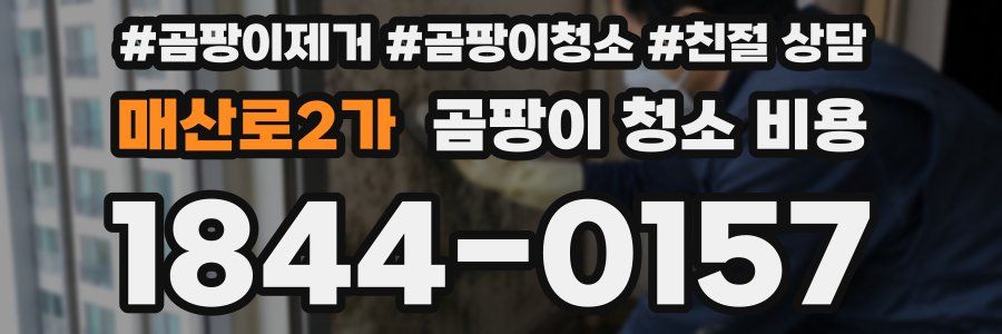 매산로2가 곰팡이 청소 비용