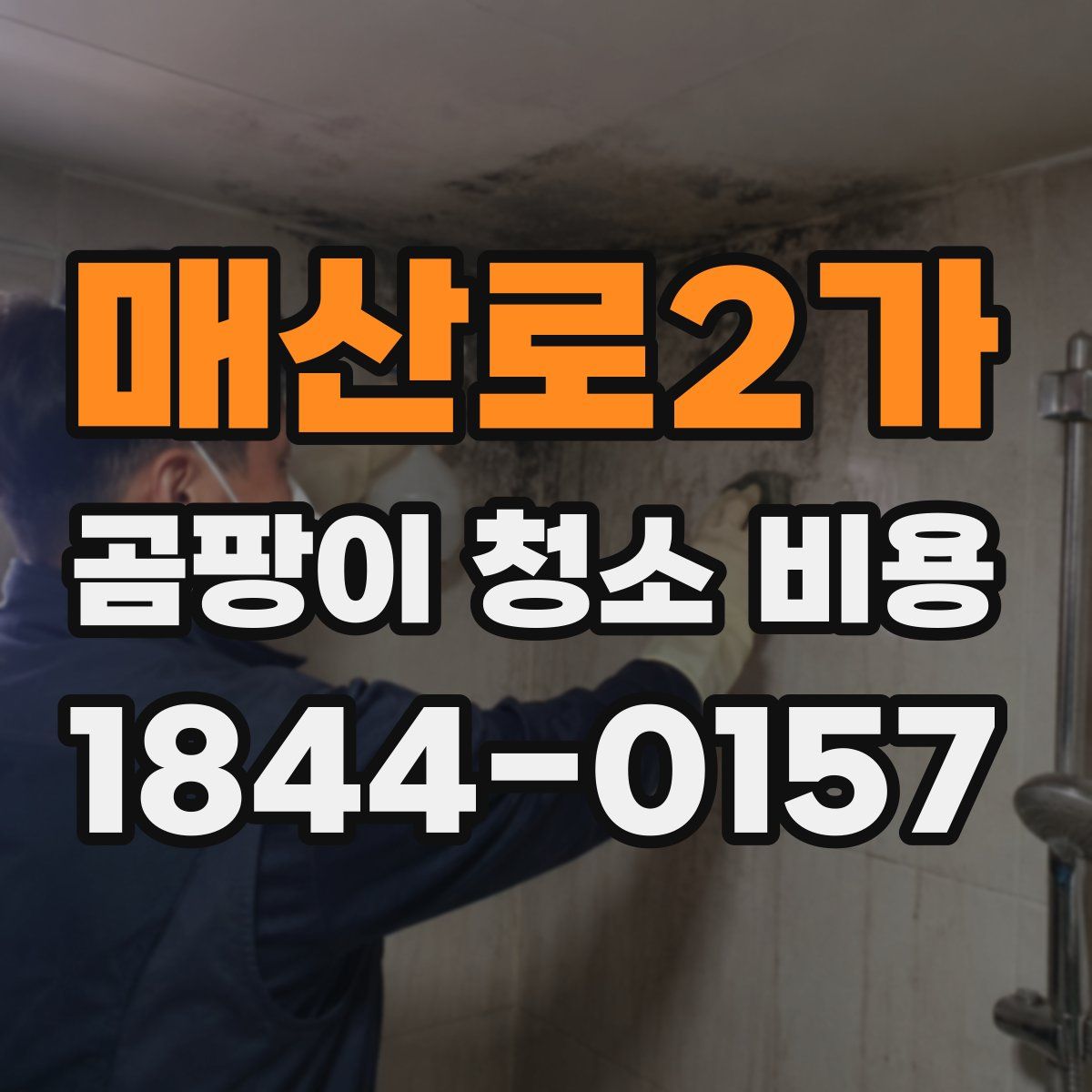 매산로2가 곰팡이 청소 비용