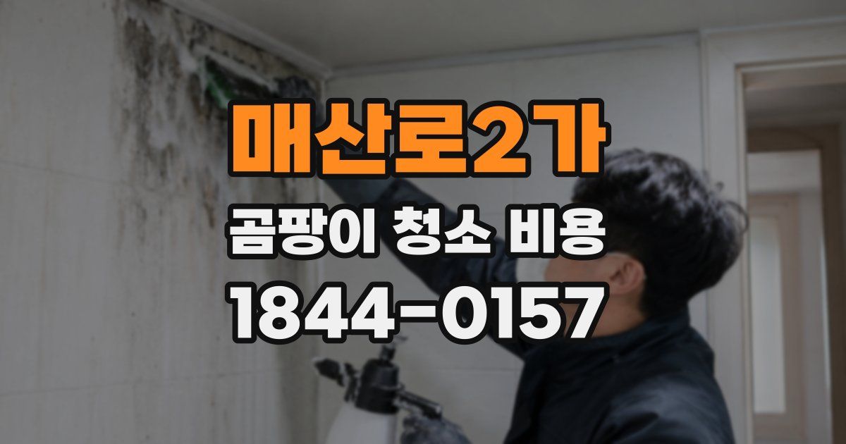 매산로2가 곰팡이 청소 비용