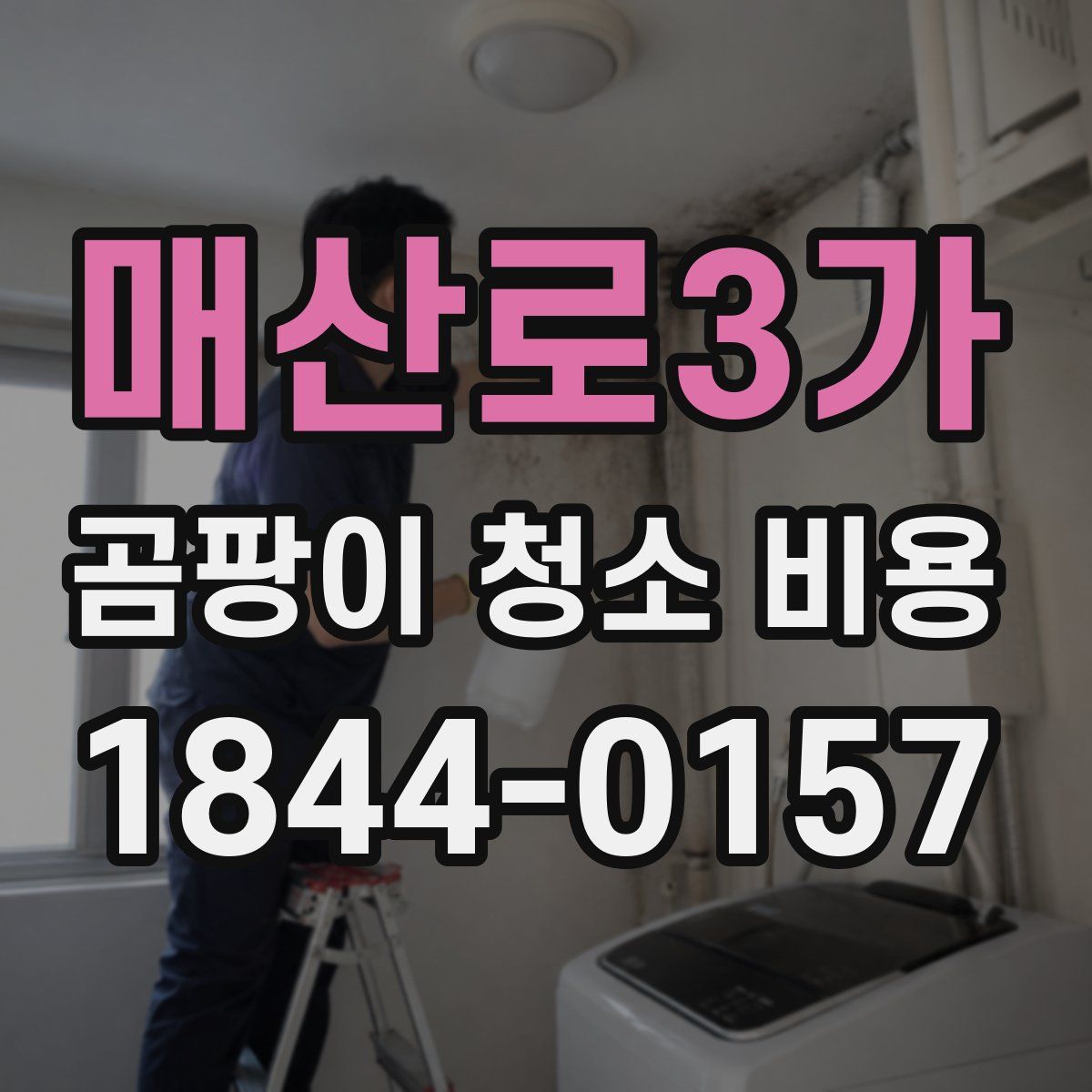 매산로3가 곰팡이 청소 비용
