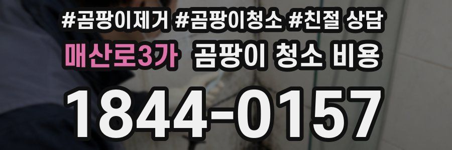 매산로3가 곰팡이 청소 비용