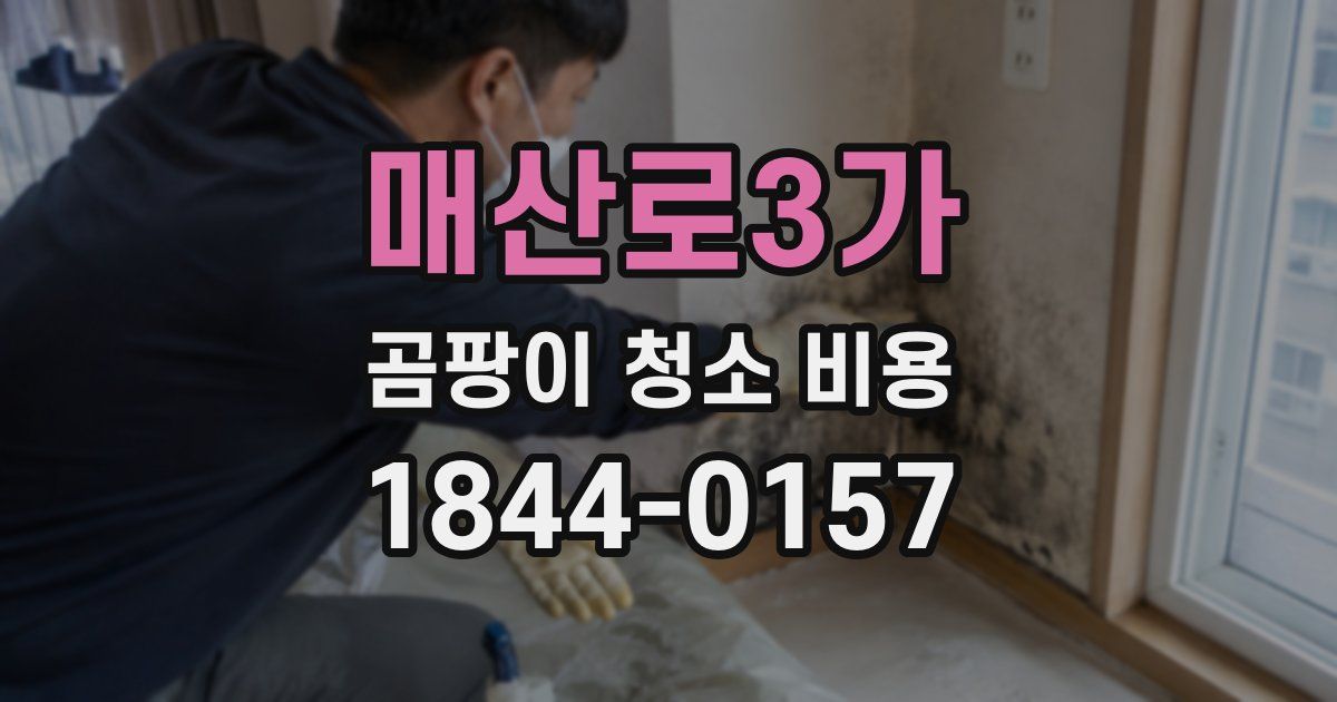 매산로3가 곰팡이 청소 비용