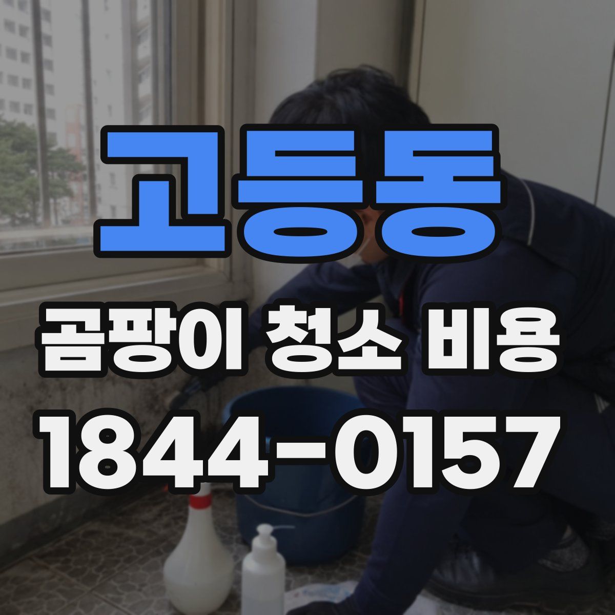 고등동 곰팡이 청소 비용
