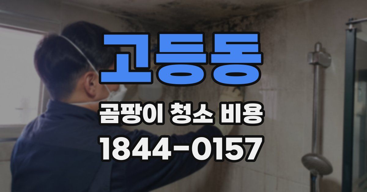 고등동 곰팡이 청소 비용