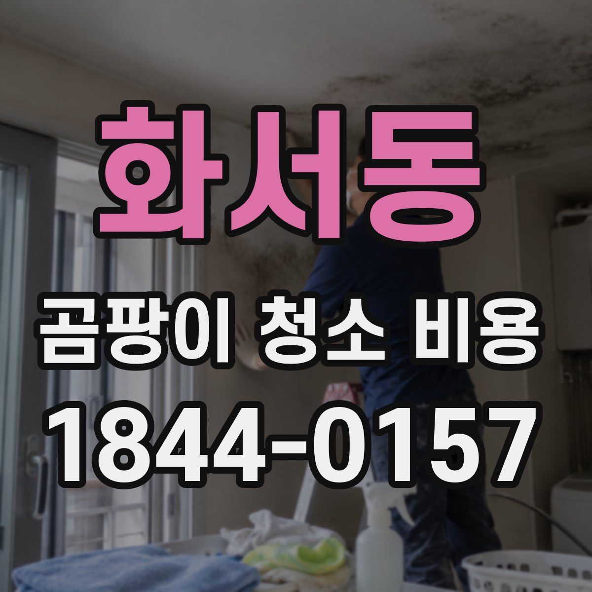 화서동 곰팡이 청소 비용