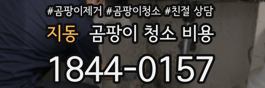 지동 곰팡이 청소 비용