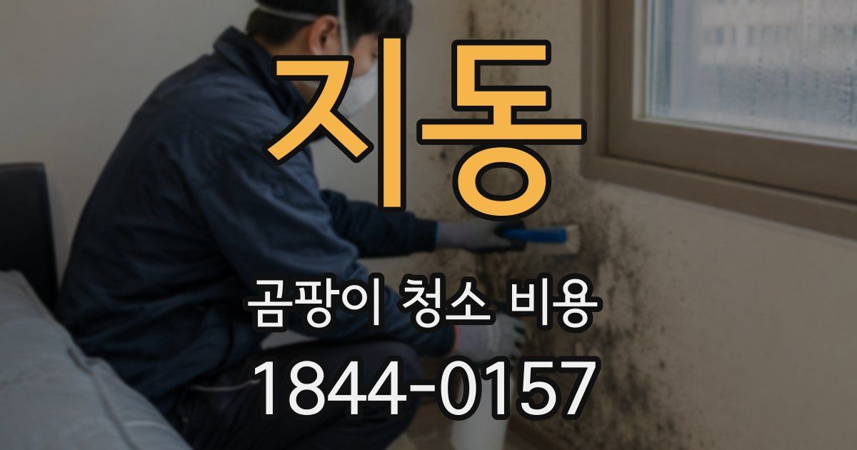 지동 곰팡이 청소 비용