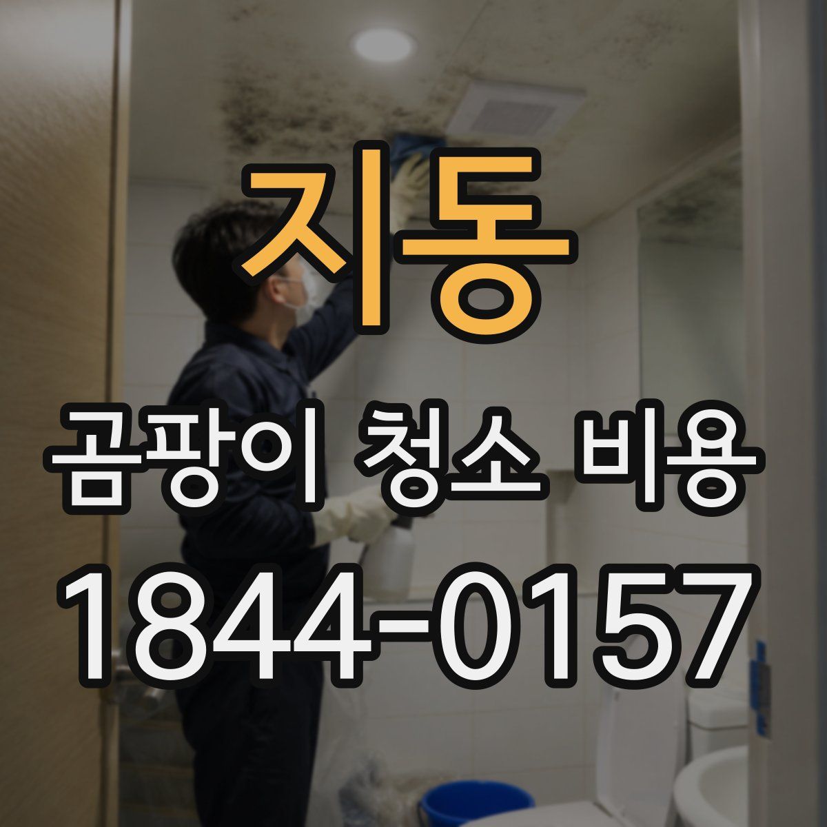 지동 곰팡이 청소 비용