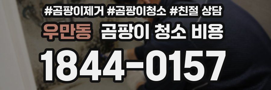 우만동 곰팡이 청소 비용