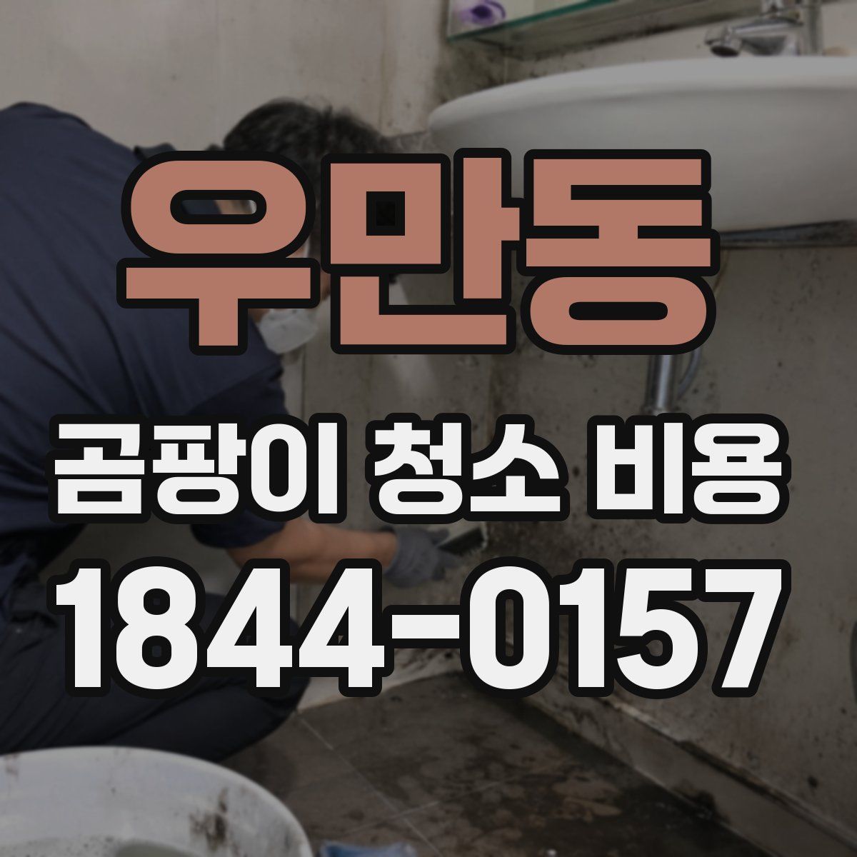 우만동 곰팡이 청소 비용