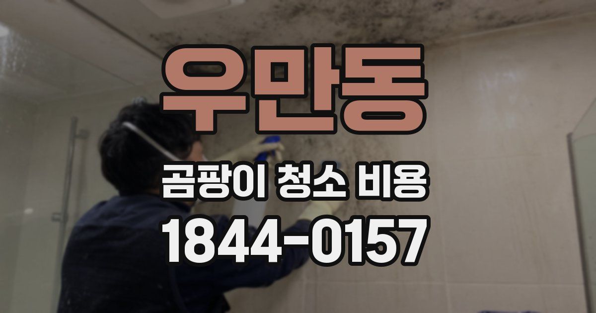 우만동 곰팡이 청소 비용