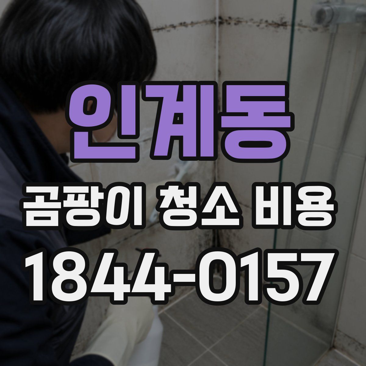 인계동 곰팡이 청소 비용