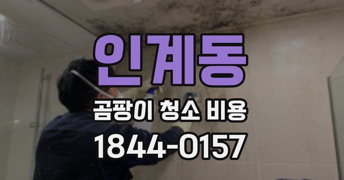 인계동 곰팡이 청소 비용