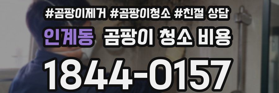 인계동 곰팡이 청소 비용
