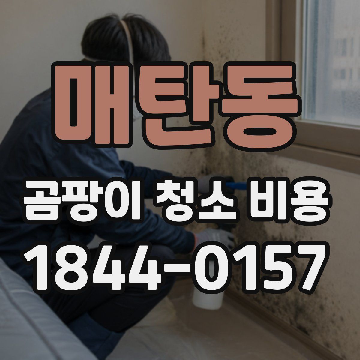 매탄동 곰팡이 청소 비용