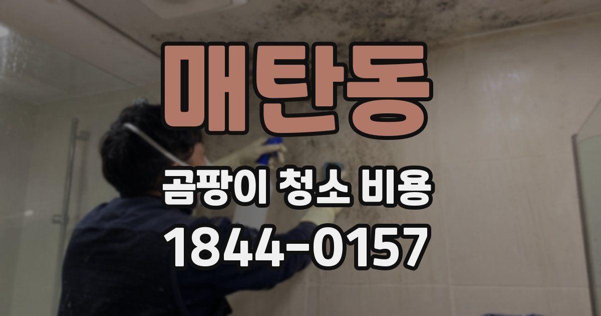 매탄동 곰팡이 청소 비용