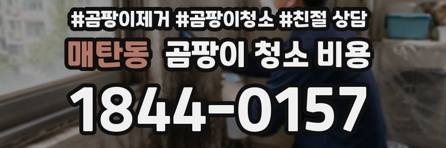 매탄동 곰팡이 청소 비용