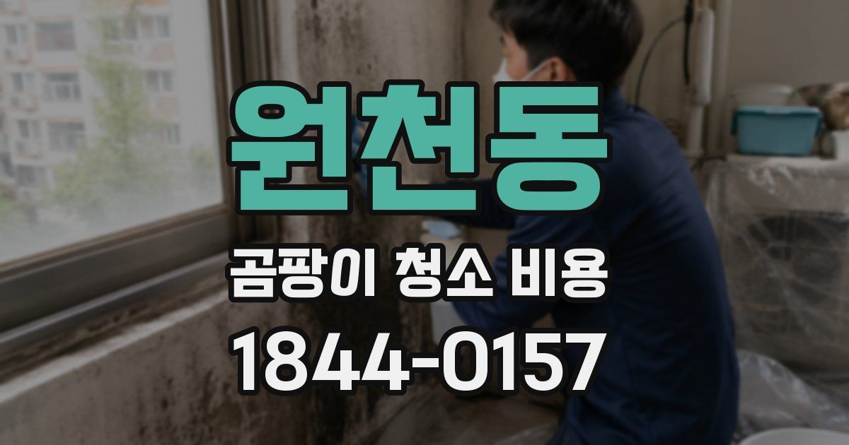 원천동 곰팡이 청소 비용
