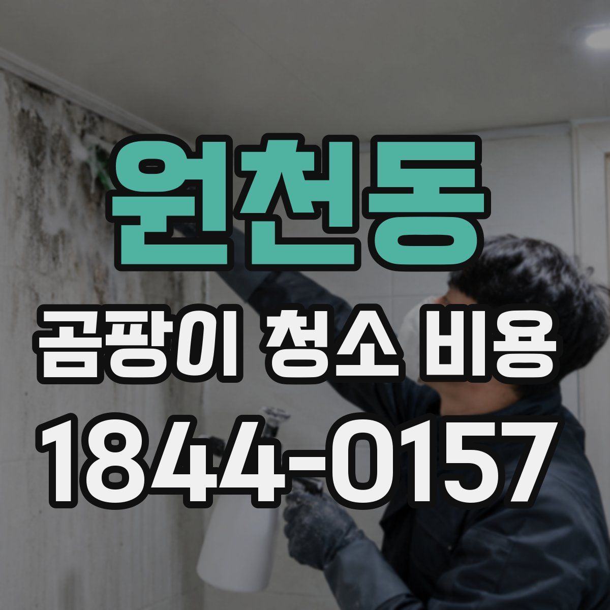 원천동 곰팡이 청소 비용