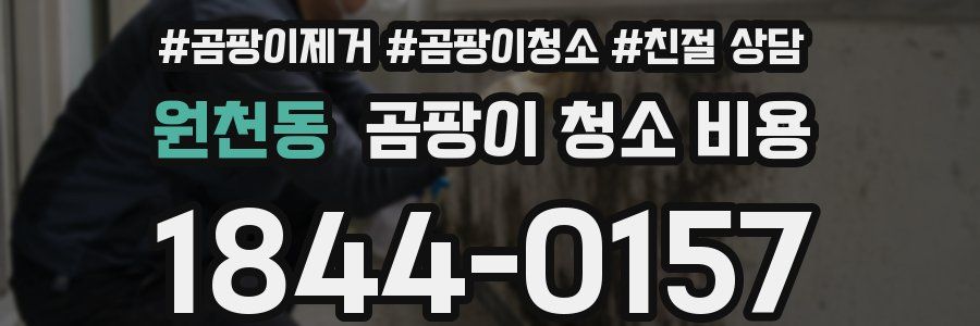 원천동 곰팡이 청소 비용