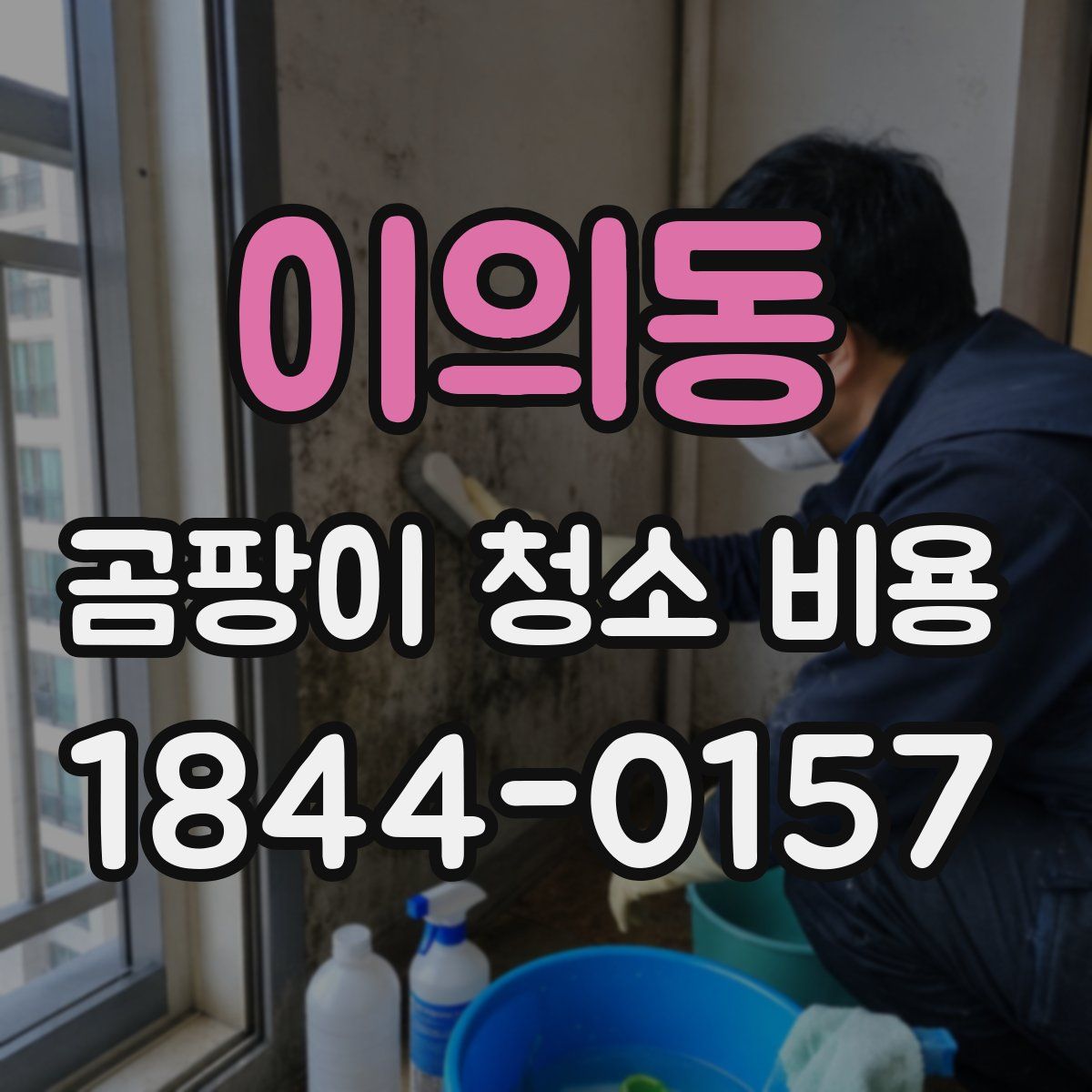 이의동 곰팡이 청소 비용