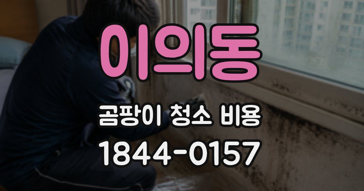 이의동 곰팡이 청소 비용