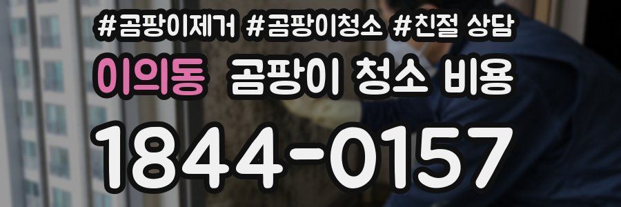 이의동 곰팡이 청소 비용
