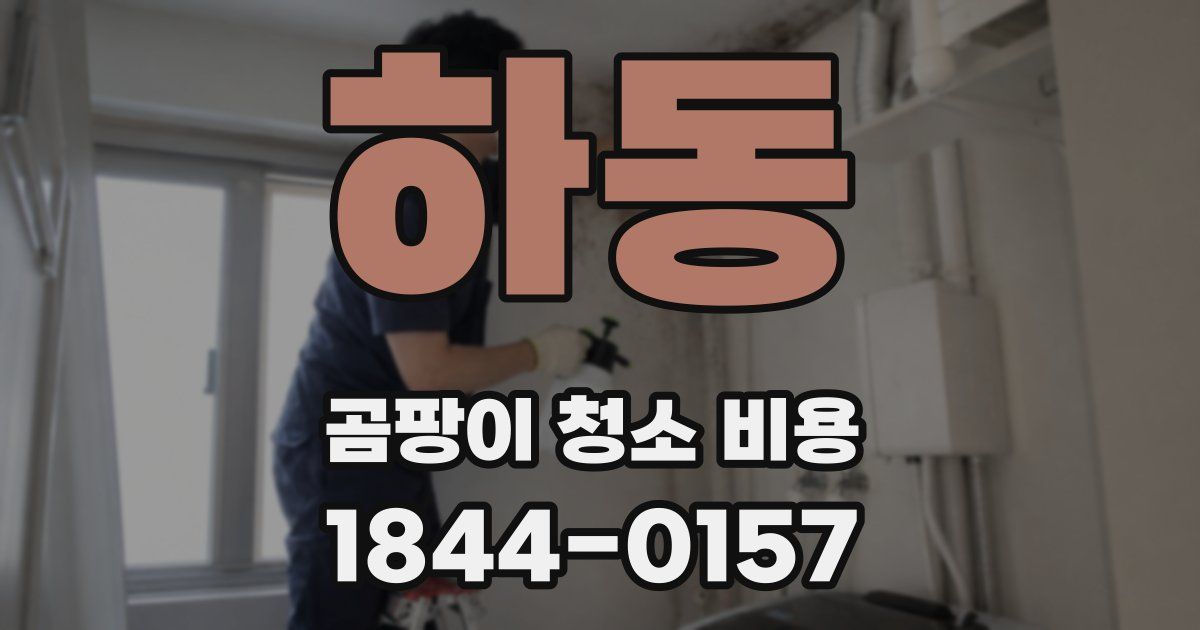 하동 곰팡이 청소 비용