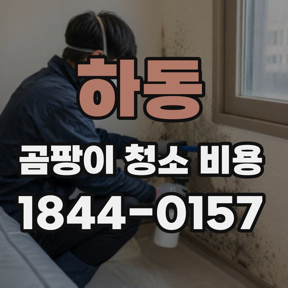 하동 곰팡이 청소 비용