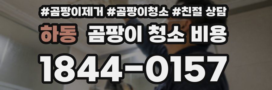 하동 곰팡이 청소 비용