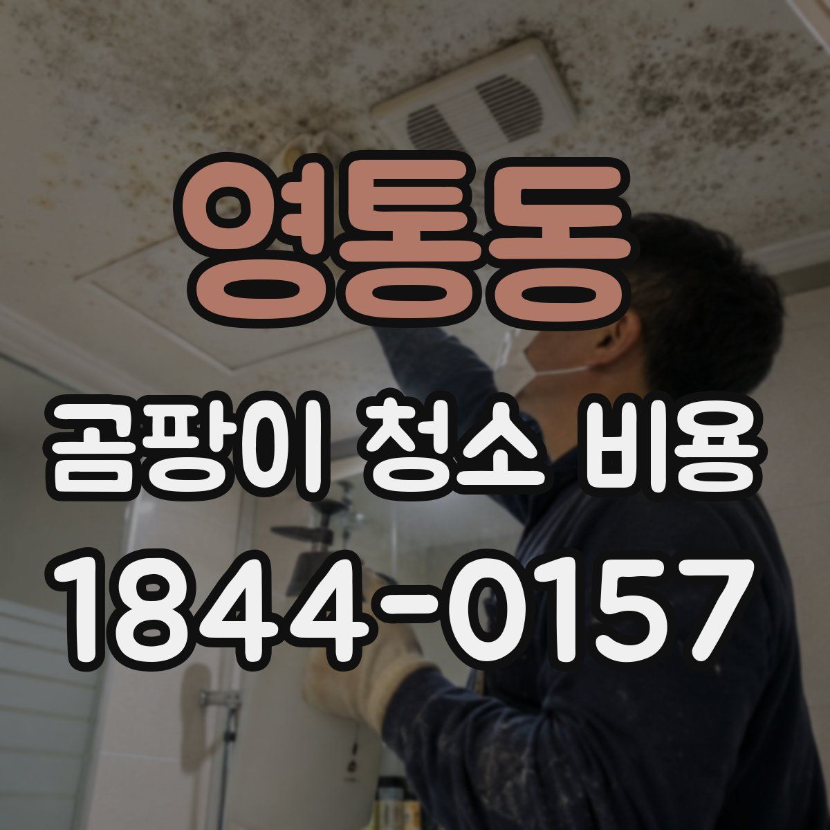 영통동 곰팡이 청소 비용