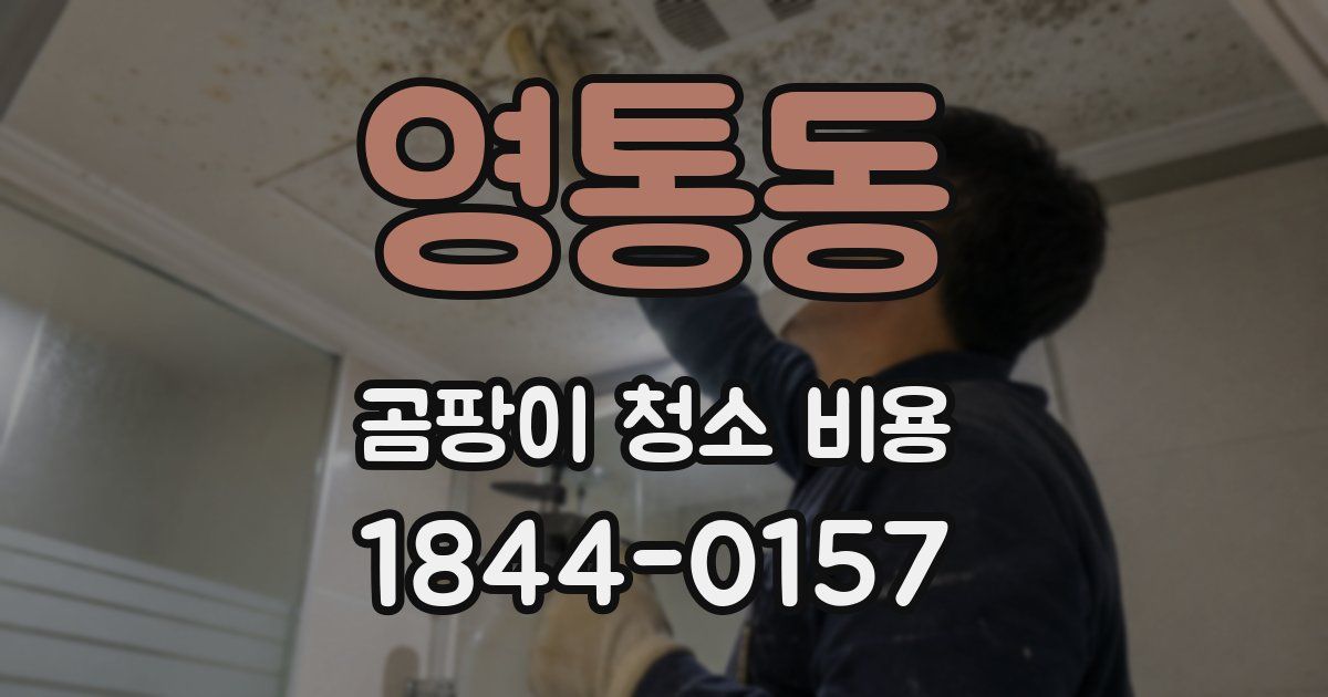 영통동 곰팡이 청소 비용