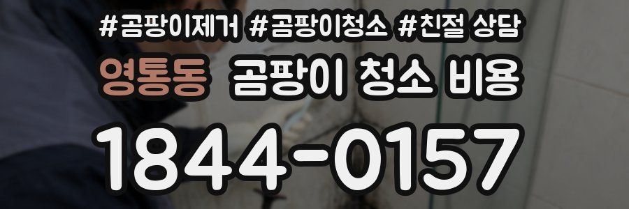 영통동 곰팡이 청소 비용