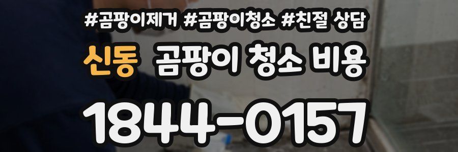 신동 곰팡이 청소 비용